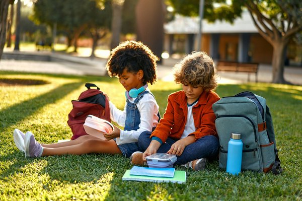Inégalités scolaires : vers une urgence éducative en france